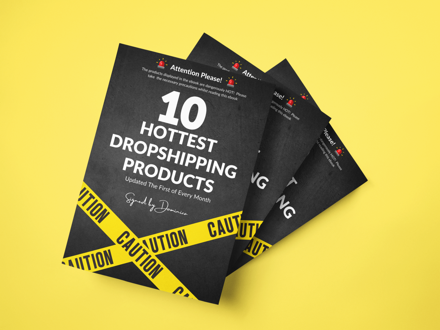 THE HOTTEST 10 DROPSHIPPING PRODUCT: FREE Guide!